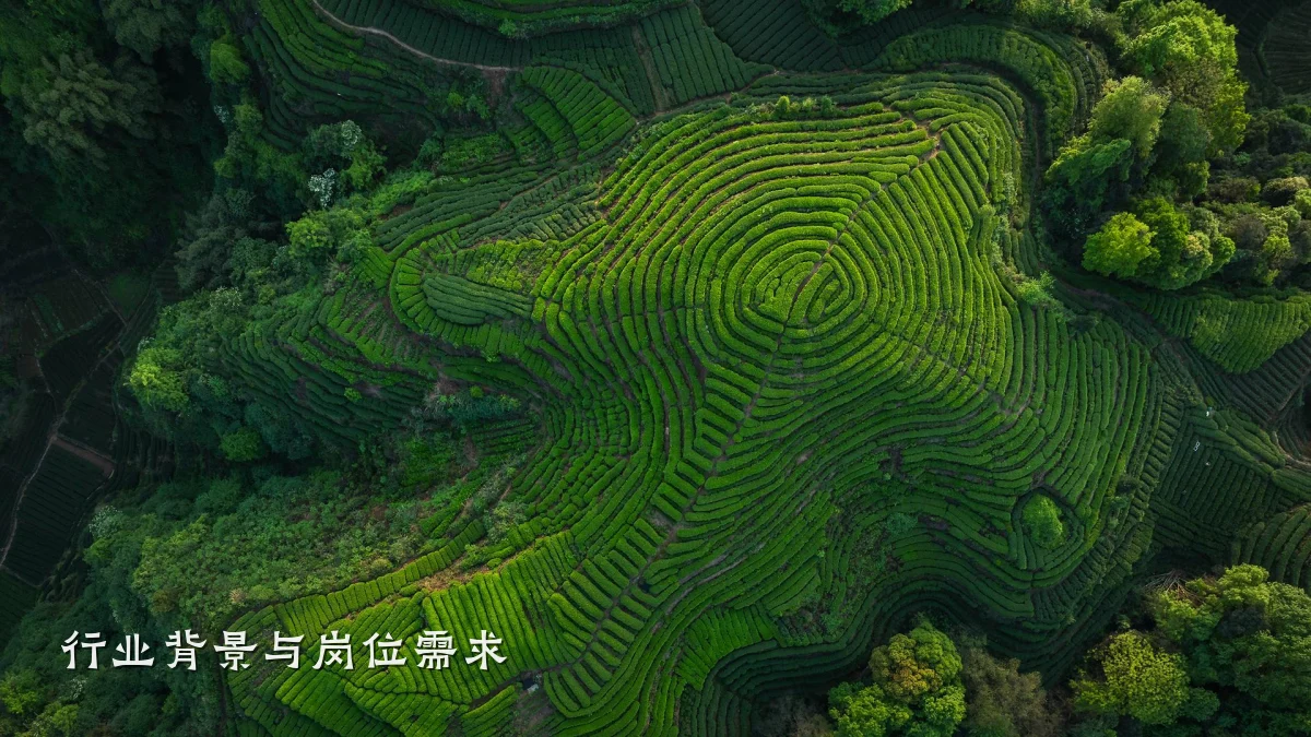 行业背景与岗位需求