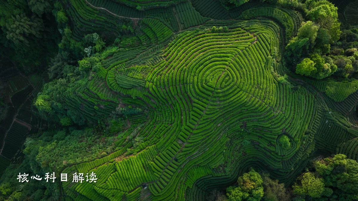 核心科目解读