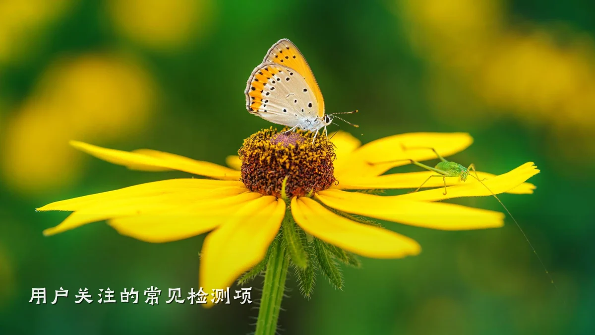 用户关注的常见检测项