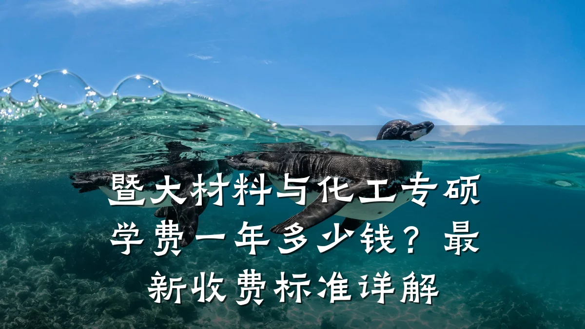 暨大材料与化工专硕学费一年多少钱？最新收费标准详解