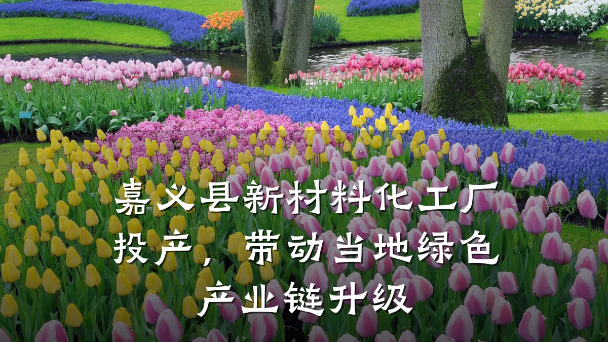 嘉义县新材料化工厂投产，带动当地绿色产业链升级