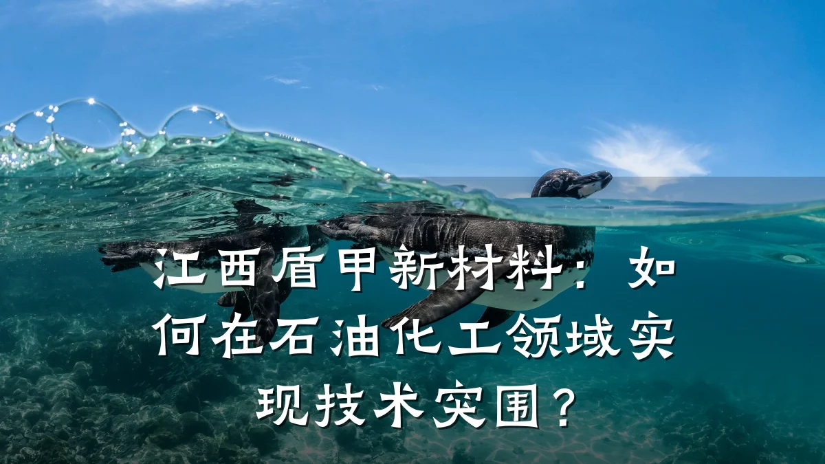 江西盾甲新材料：如何在石油化工领域实现技术突围？