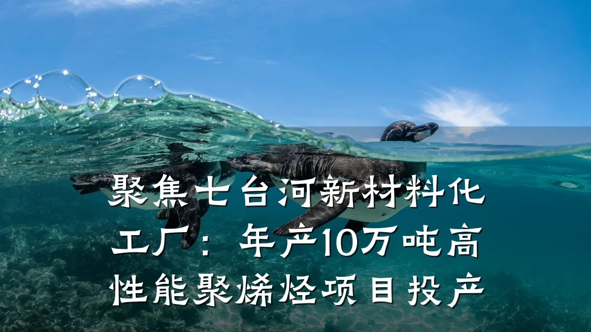 聚焦七台河新材料化工厂：年产10万吨高性能聚烯烃项目投产