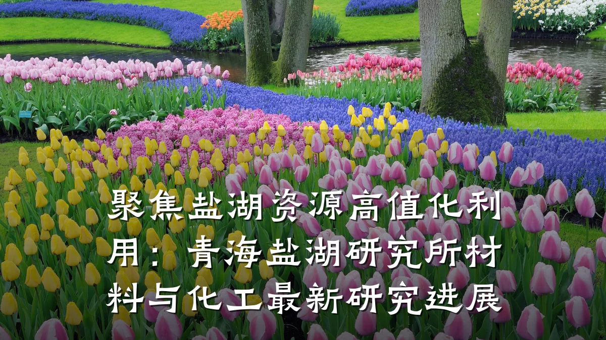 聚焦盐湖资源高值化利用：青海盐湖研究所材料与化工最新研究进展