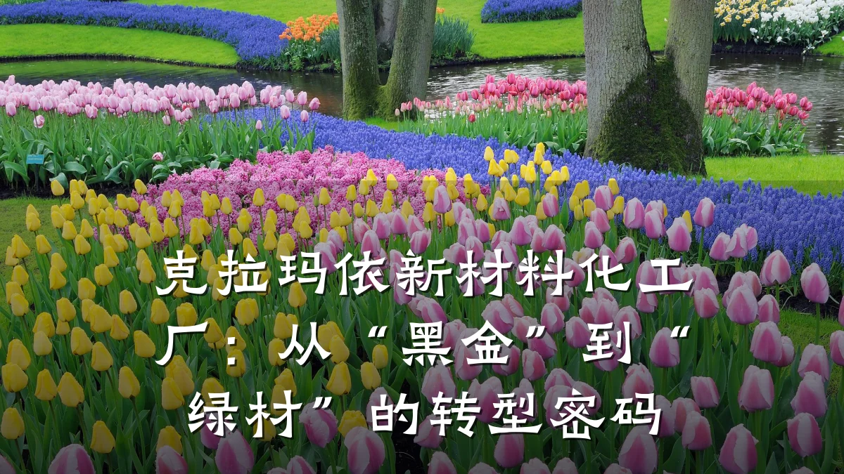 克拉玛依新材料化工厂：从“黑金”到“绿材”的转型密码