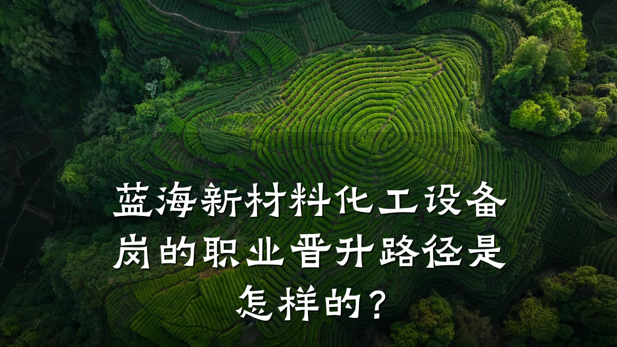 蓝海新材料化工设备岗的职业晋升路径是怎样的?