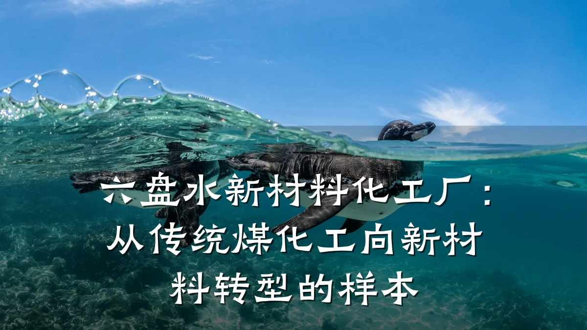 六盘水新材料化工厂：从传统煤化工向新材料转型的样本