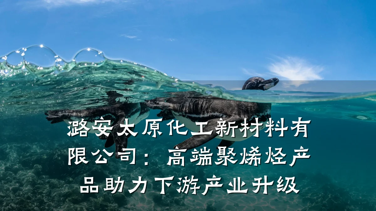 潞安太原化工新材料有限公司：高端聚烯烃产品助力下游产业升级