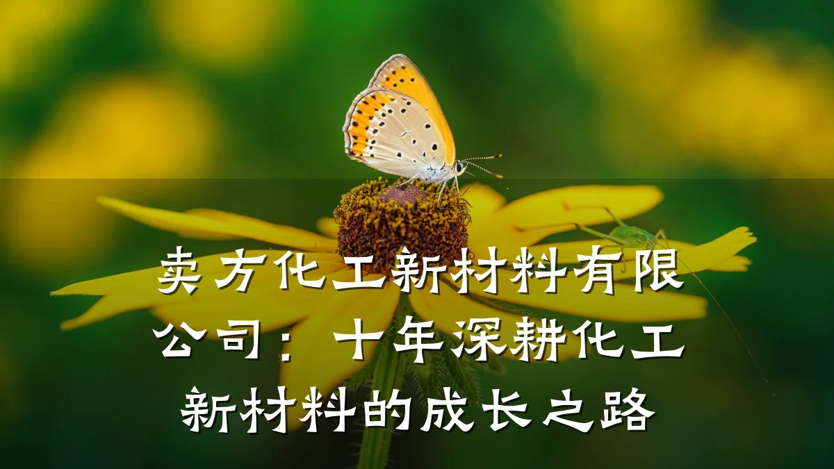 卖方化工新材料有限公司：十年深耕化工新材料的成长之路
