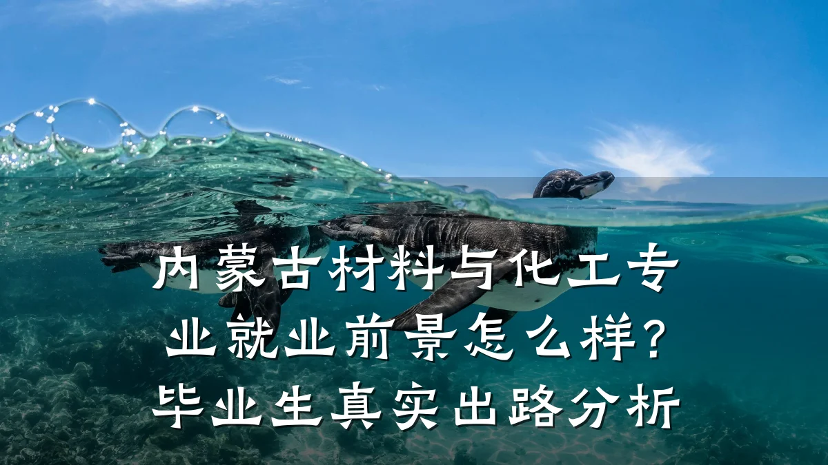 内蒙古材料与化工专业就业前景怎么样？毕业生真实出路分析
