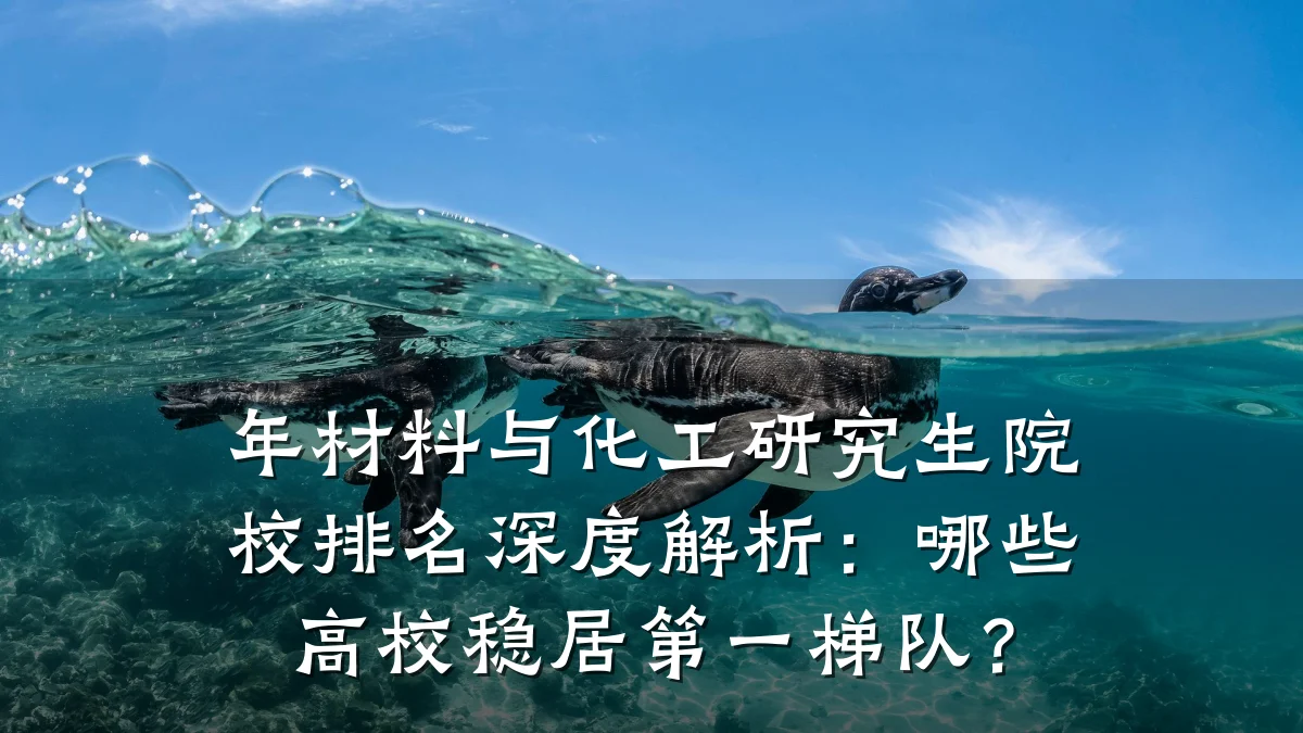 年材料与化工研究生院校排名深度解析：哪些高校稳居第一梯队？