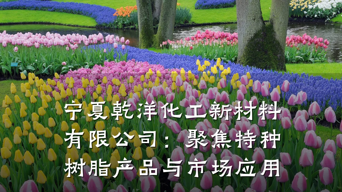 宁夏乾洋化工新材料有限公司：聚焦特种树脂产品与市场应用