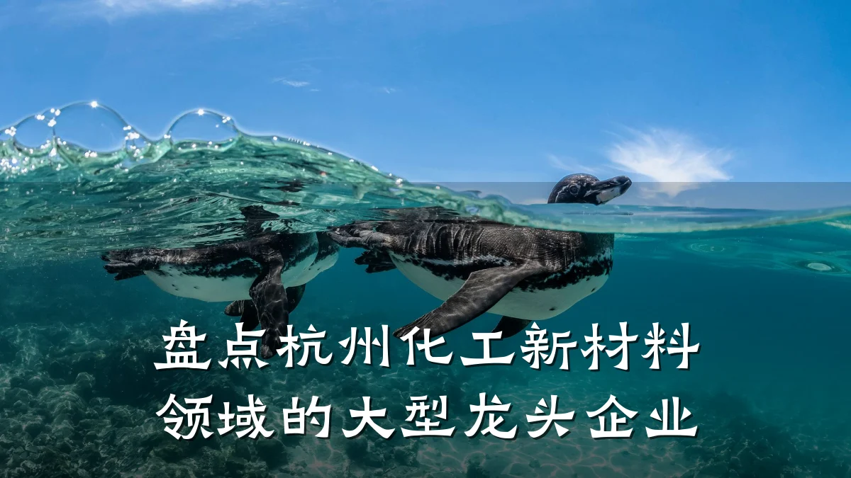 盘点杭州化工新材料领域的大型龙头企业