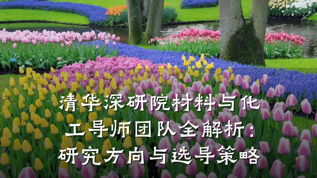 清华深研院材料与化工导师团队全解析：研究方向与选导策略