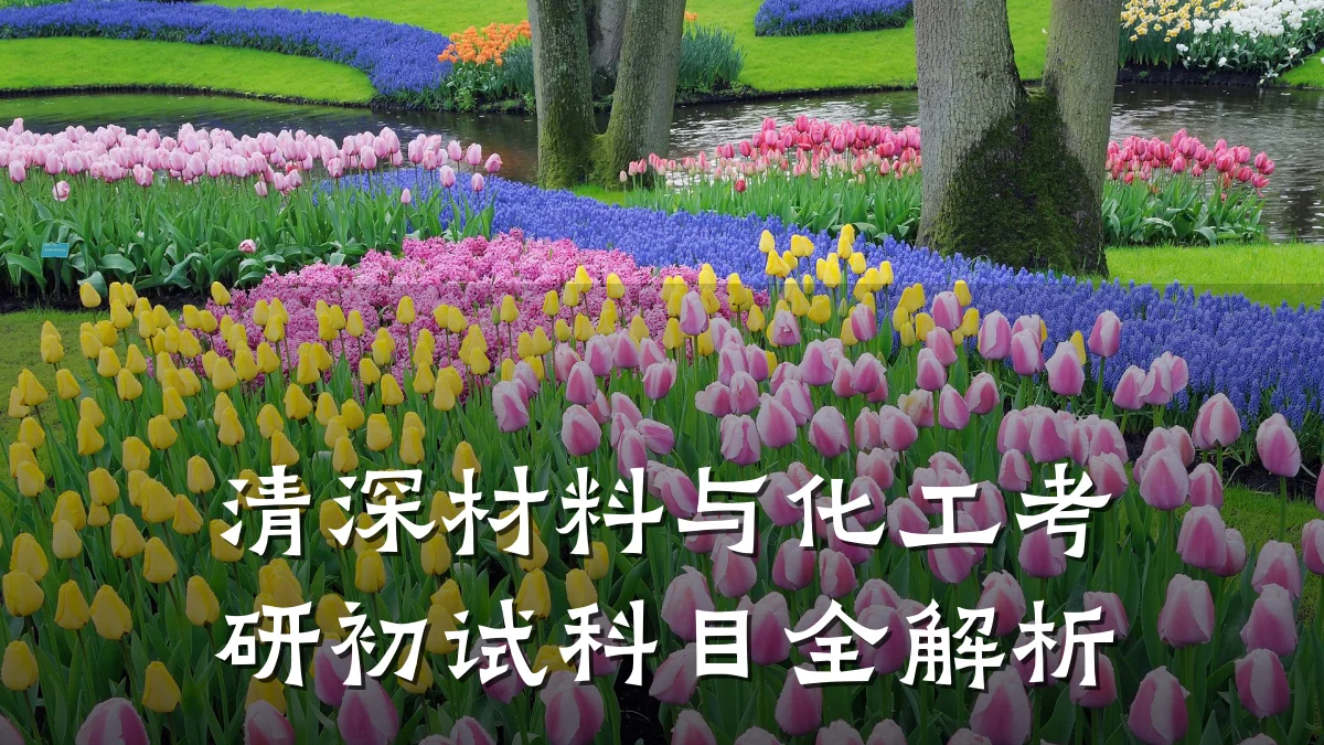 清深材料与化工考研初试科目全解析