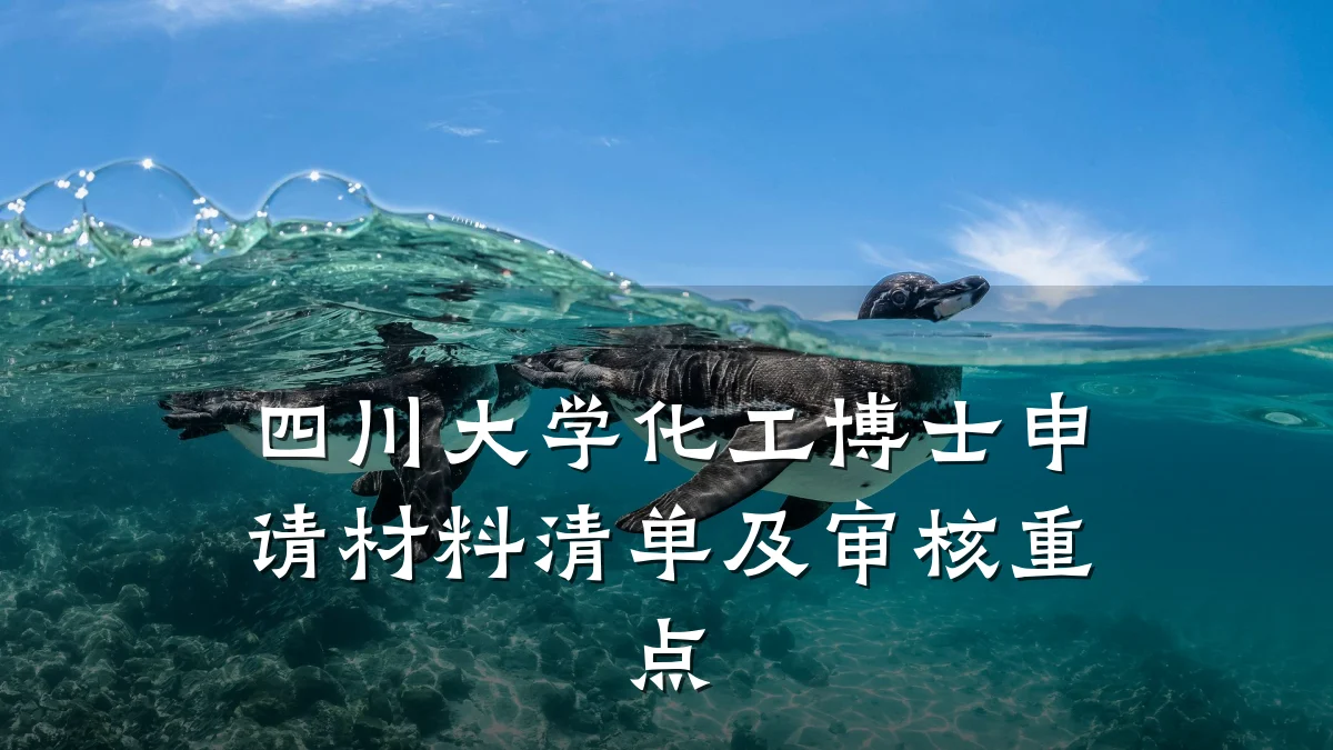 四川大学化工博士申请材料清单及审核重点