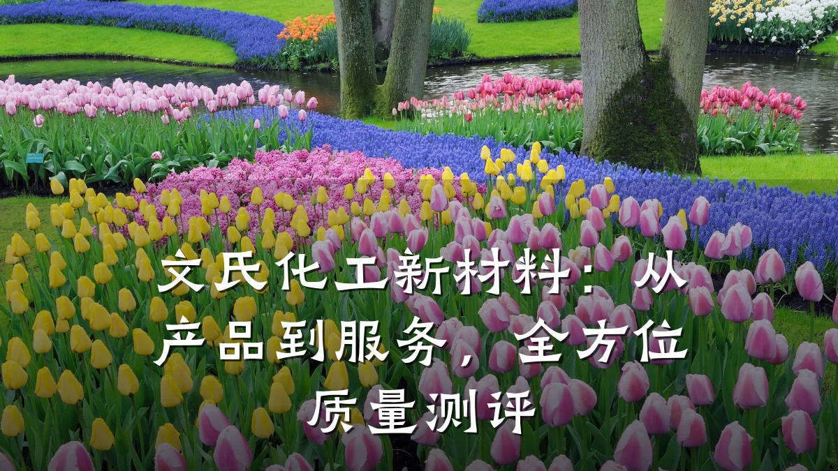 文氏化工新材料：从产品到服务，全方位质量测评
