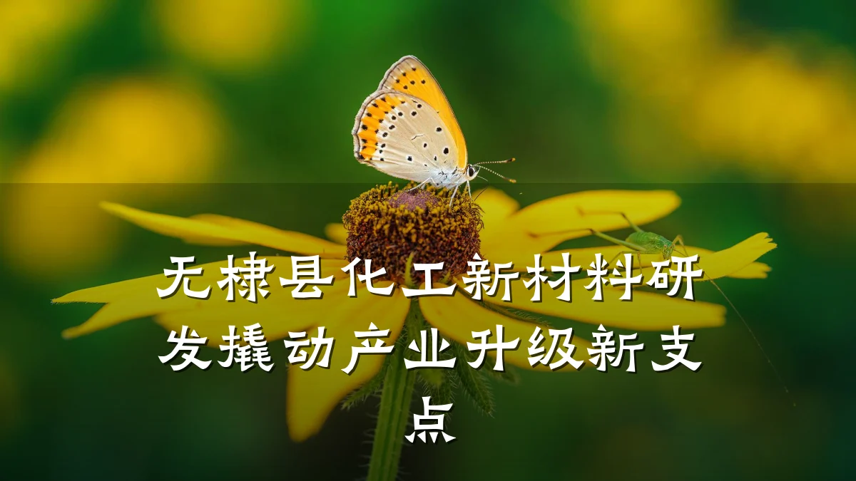 无棣县化工新材料研发撬动产业升级新支点