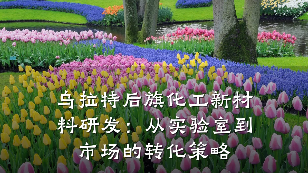 乌拉特后旗化工新材料研发：从实验室到市场的转化策略