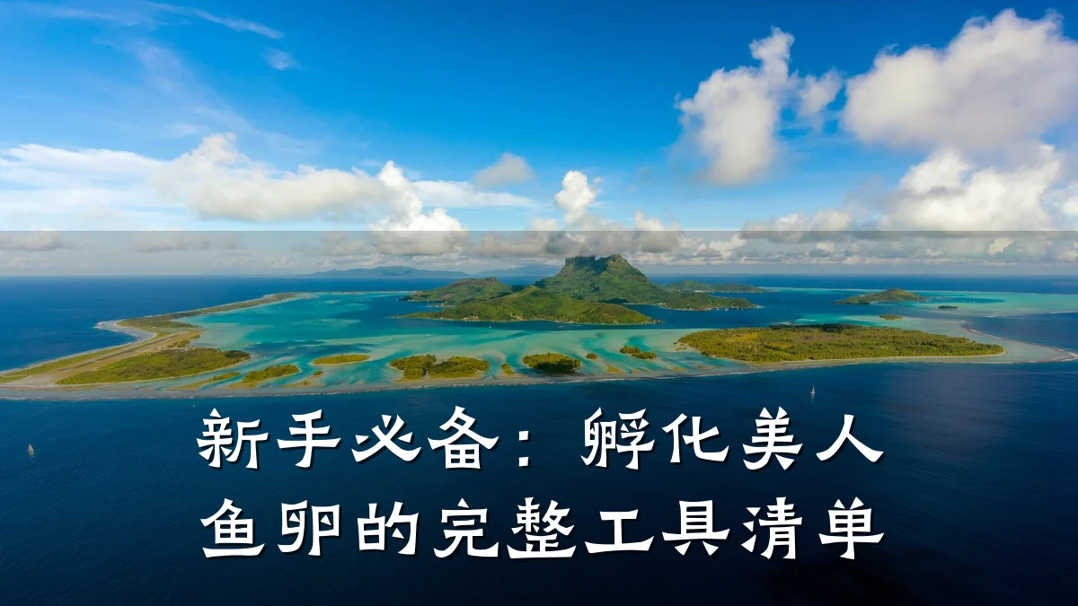 新手必备:孵化美人鱼卵的完整工具清单