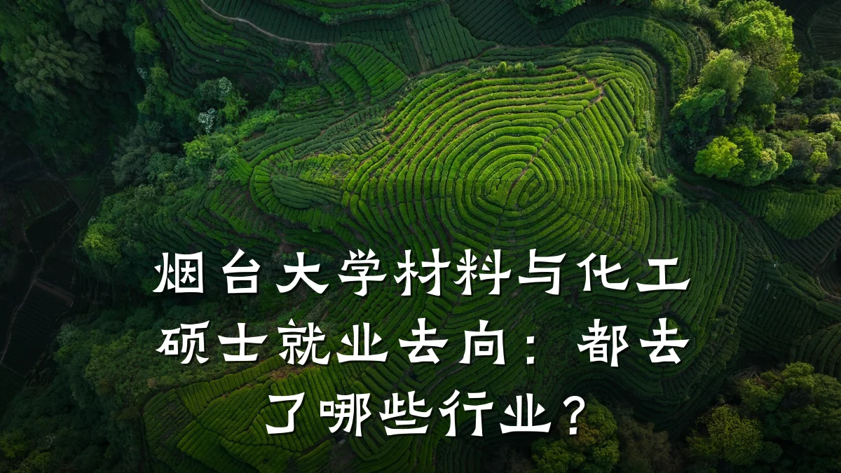 烟台大学材料与化工硕士就业去向：都去了哪些行业？
