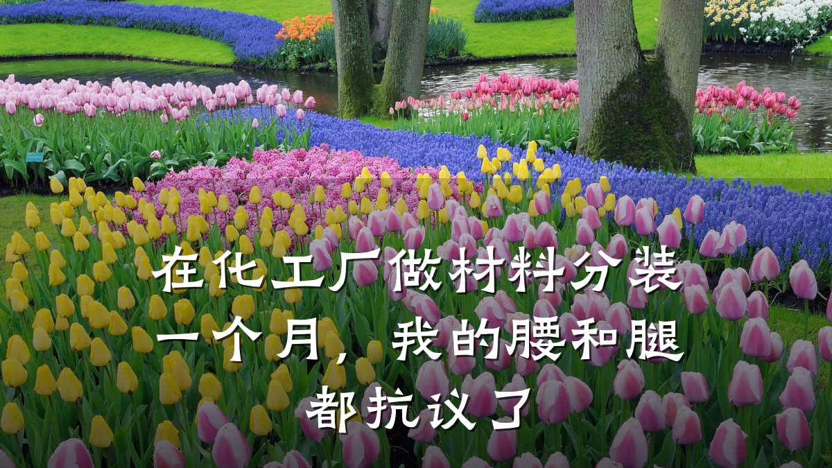 在化工厂做材料分装一个月，我的腰和腿都抗议了