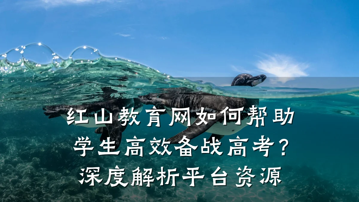 红山教育网如何帮助学生高效备战高考？深度解析平台资源
