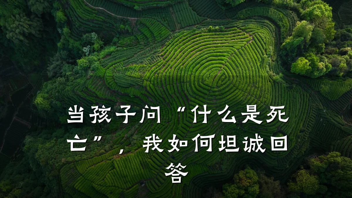 当孩子问“什么是死亡”，我如何坦诚回答