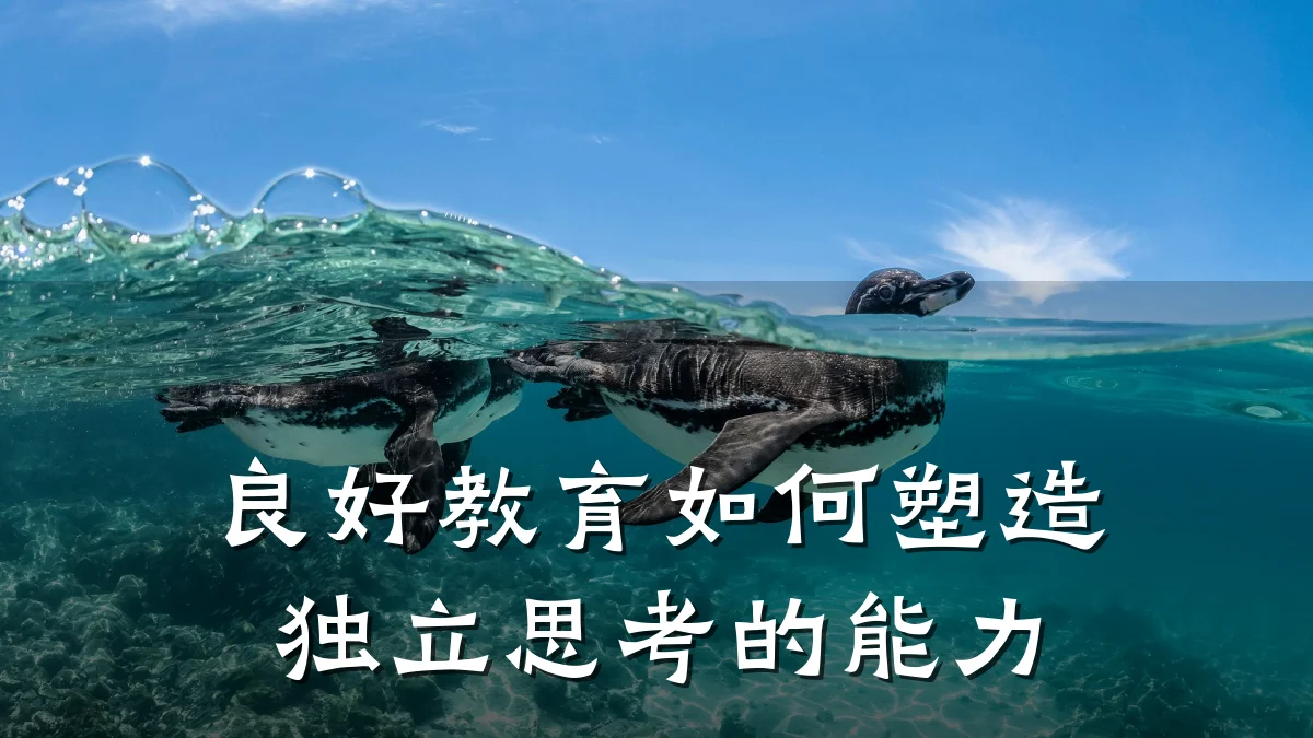 良好教育如何塑造独立思考的能力