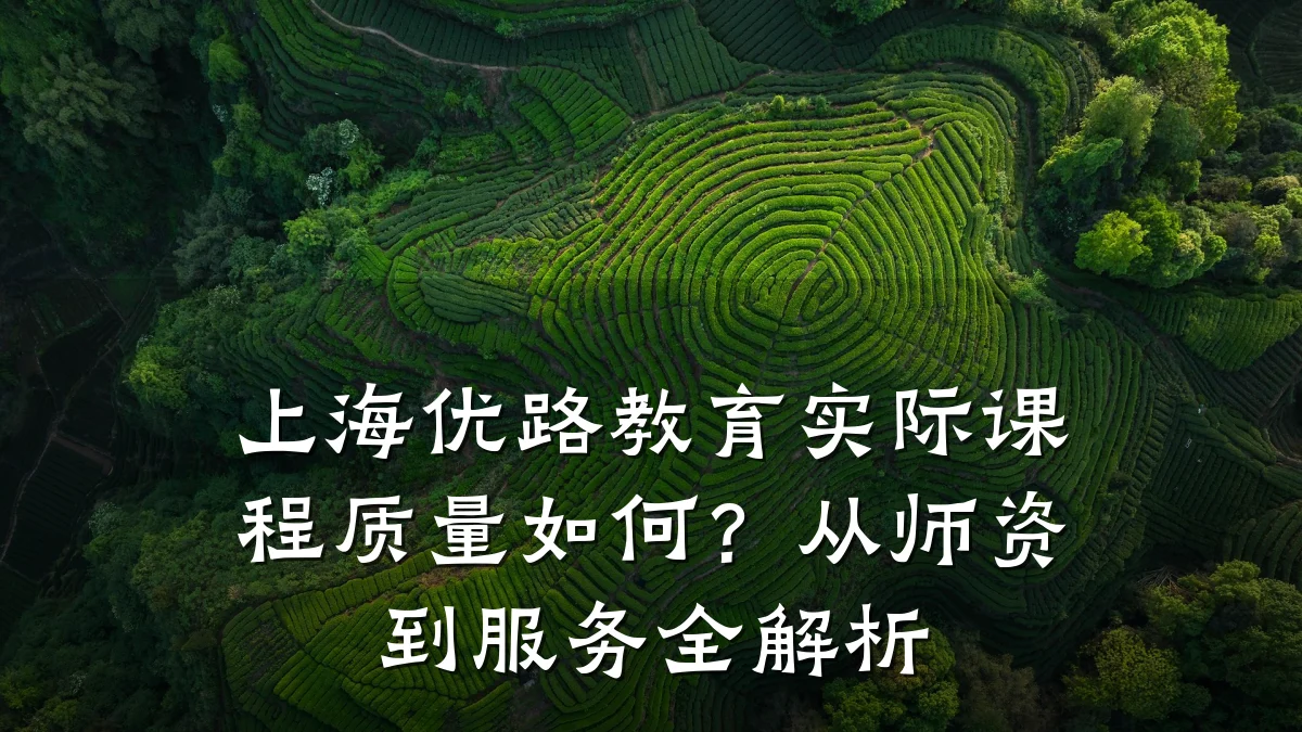 上海优路教育实际课程质量如何？从师资到服务全解析