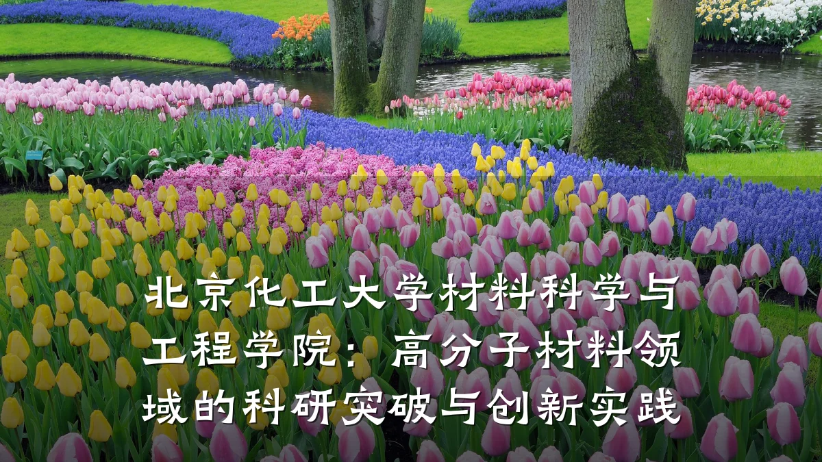 北京化工大学材料科学与工程学院：高分子材料领域的科研突破与创新实践