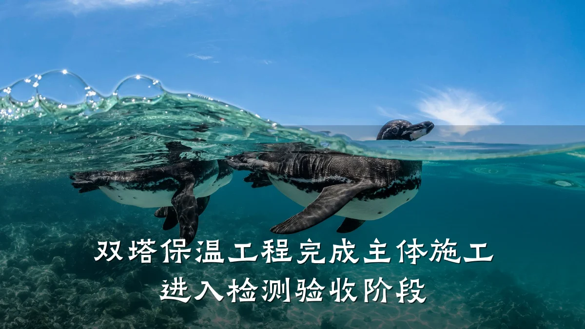 双塔保温工程完成主体施工 进入检测验收阶段