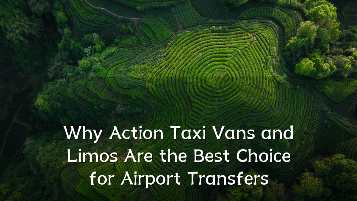 Why Action Taxi Vans and Limos Are the Best Choice for Airport Transfers