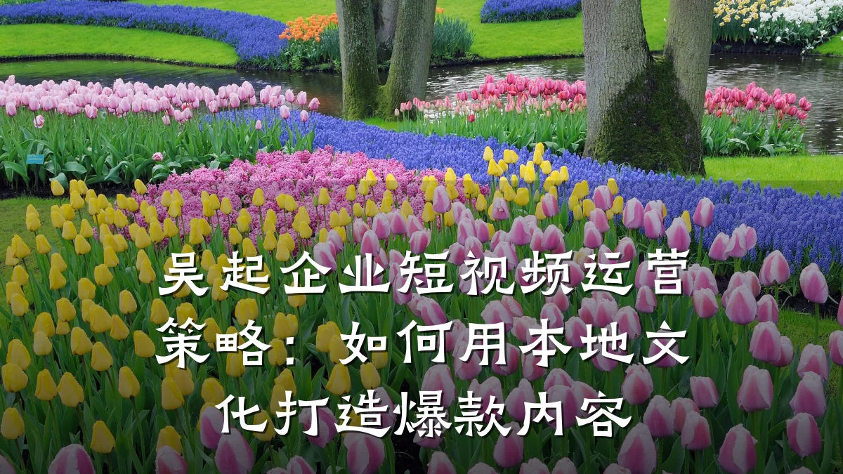 吴起企业短视频运营策略:如何用本地文化打造爆款内容