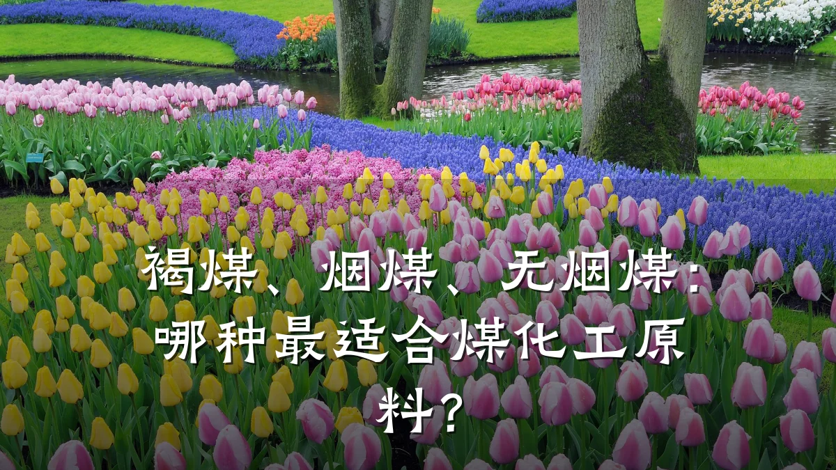 褐煤、烟煤、无烟煤:哪种最适合煤化工原料?