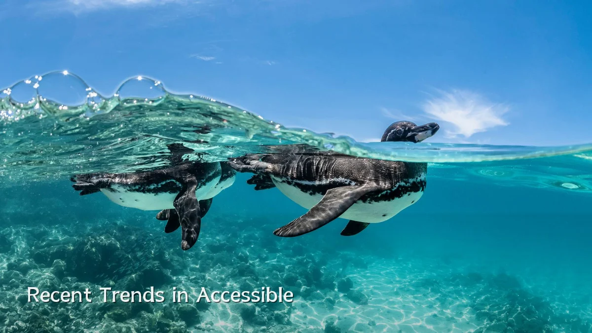 Recent Trends in Accessible