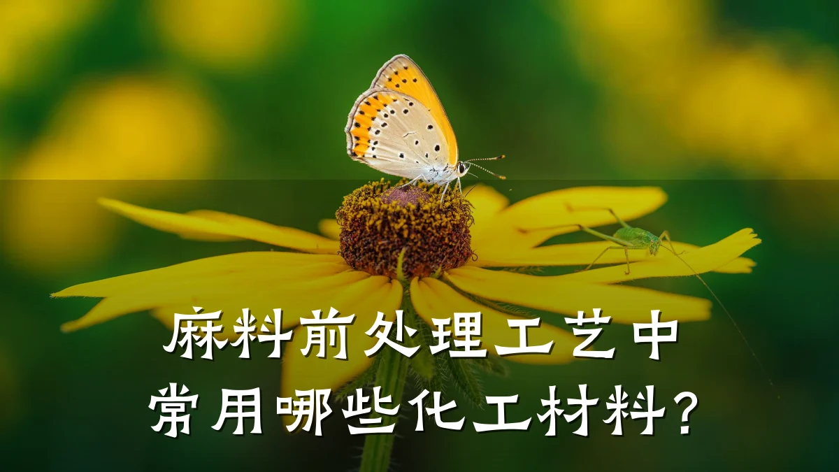 麻料前处理工艺中常用哪些化工材料?