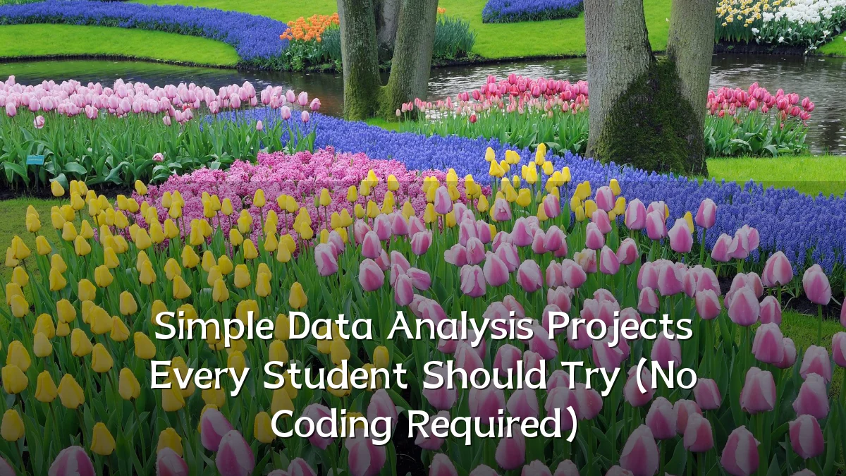Simple Data Analysis Projects Every Student Should Try (No Coding Required)