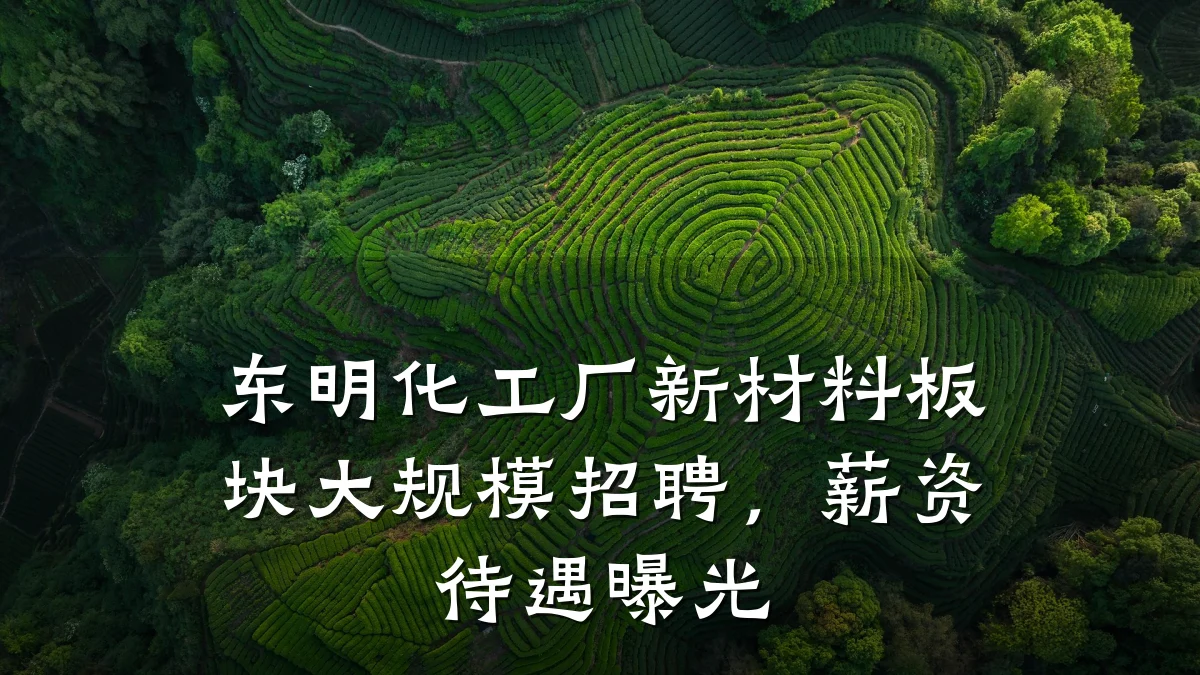 东明化工厂新材料板块大规模招聘,薪资待遇曝光