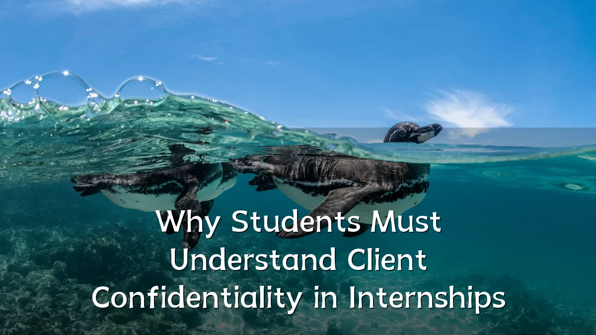 Why Students Must Understand Client Confidentiality in Internships