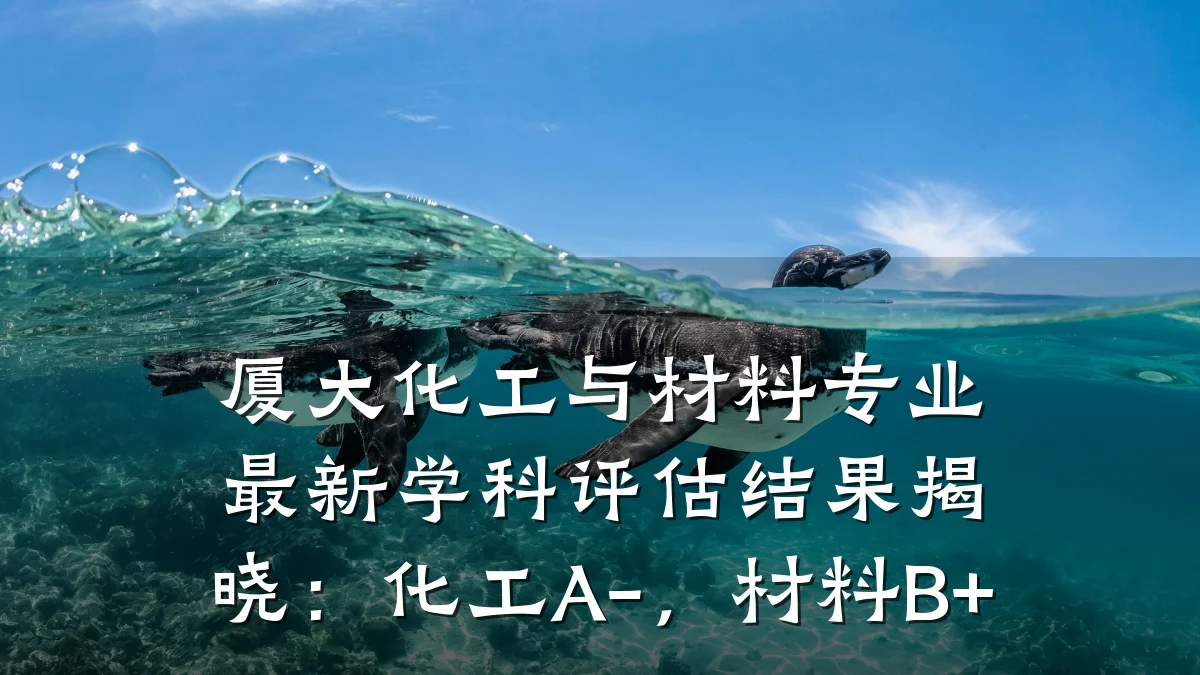 厦大化工与材料专业最新学科评估结果揭晓:化工A-,材料B+