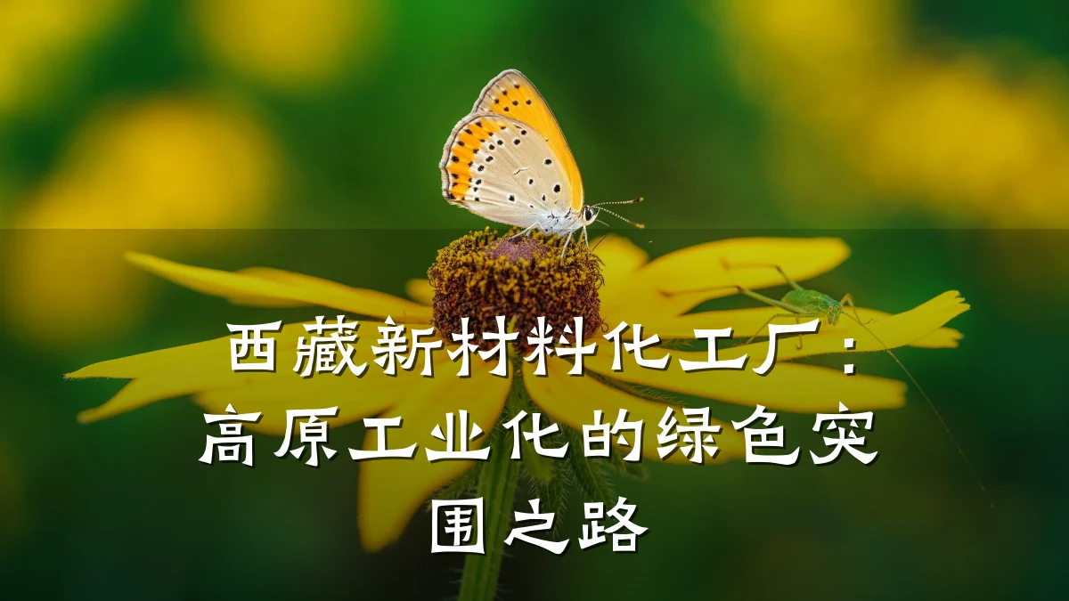 西藏新材料化工厂：高原工业化的绿色突围之路
