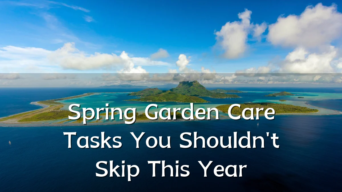Spring Garden Care Tasks You Shouldn't Skip This Year